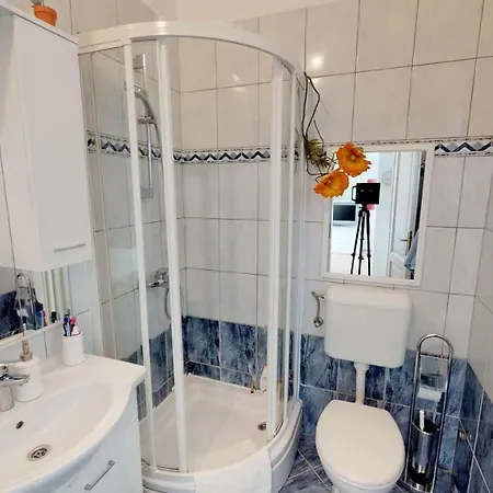 Potkonjak Daire *